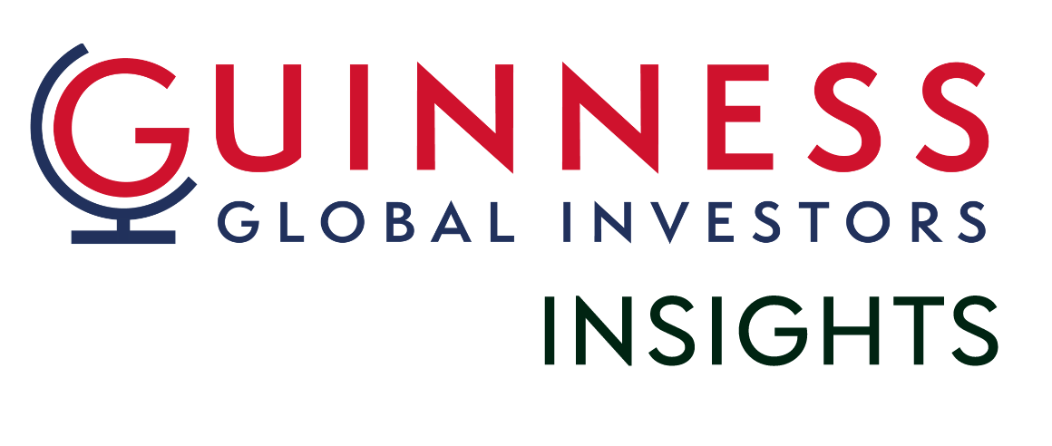 Insight: Is the Guinness Global Innovators Fund simply a technology fund?